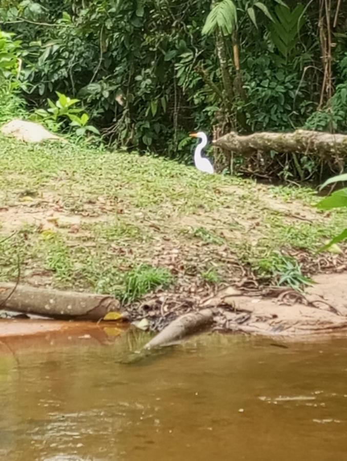 Pousada 5 Cachoeiras Ubatuba Dış mekan fotoğraf
