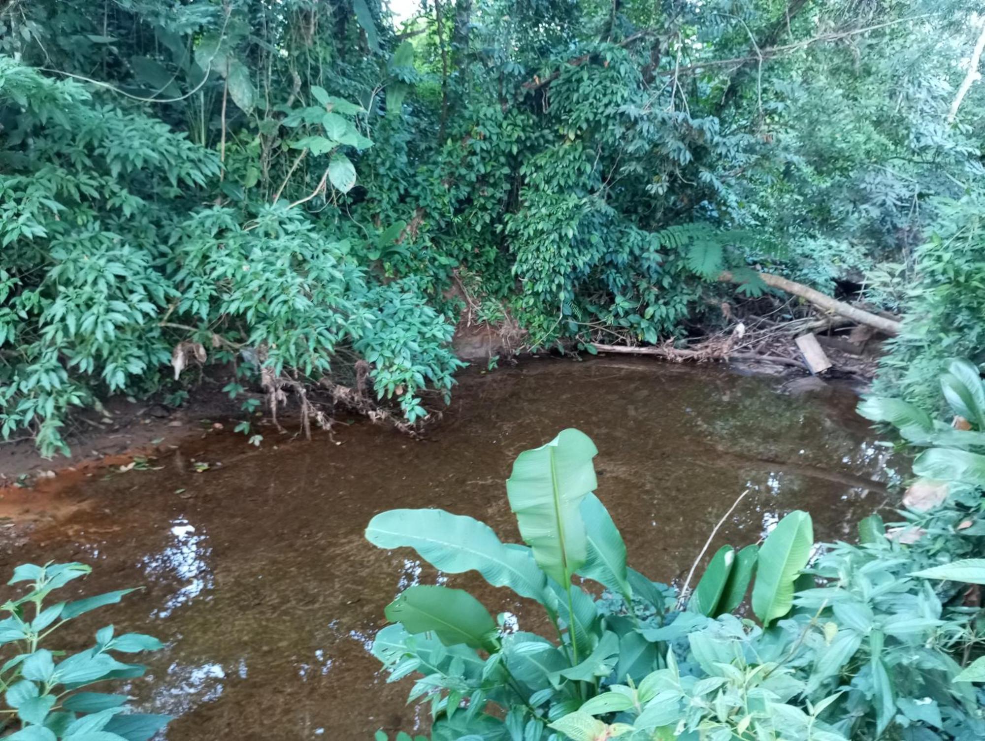Pousada 5 Cachoeiras Ubatuba Dış mekan fotoğraf